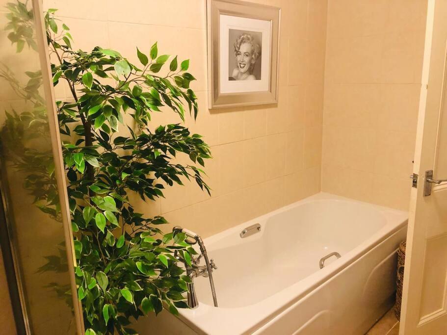 Ilkley Garden Suite Extérieur photo